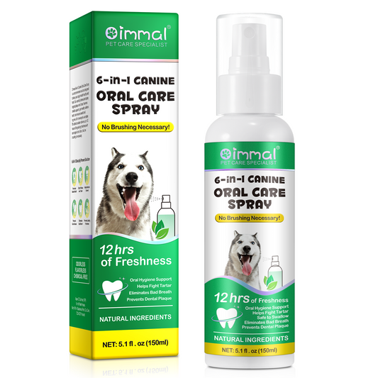 Mundwasser für Hunde