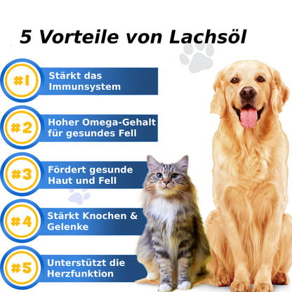 Lachsöl für Hunde & Katzen 250 ml, Omega 3 - 6 Fischöl aus Wildlachs